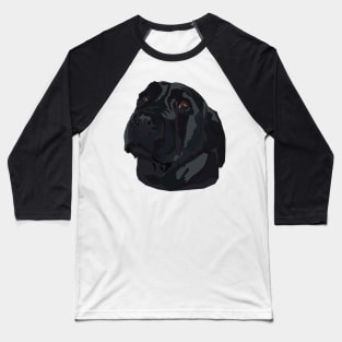 Black Lab Baseball T-Shirt